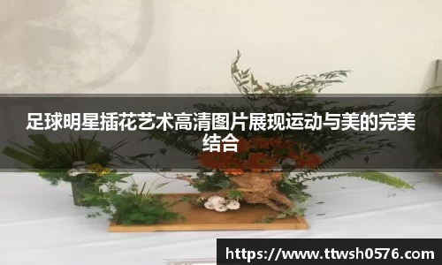 足球明星插花艺术高清图片展现运动与美的完美结合